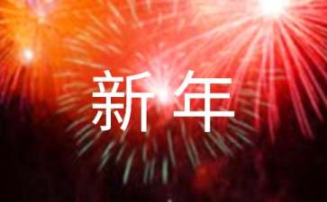 新年的作文200字